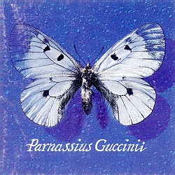 Parnassius Guccinii